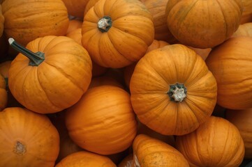 Tasty organic pumpkins available at the market. Chemical-free vegetables. Detailed view. Natural nutrients supporting the body's immune defense against viruses.