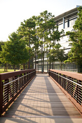 HOUSTON, TEXAS - JULY 29th 2025: Serene park landscape with a calm lake, arched bridge, lush green grass, and vibrant autumn trees, perfect natural backdrop for portrait photography.