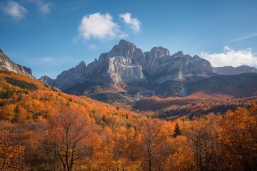 Naklejka premium Mountain scenery during fall with colorful nature backdrop