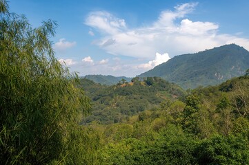 Fototapeta premium Bamboo at a renowned scenic spot with marble hills