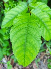 Beautiful nature photos