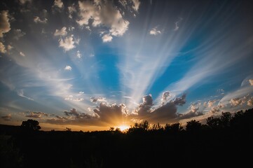 Monochrome and colored landscape photos with sky, natural light, and tree silhouettes as wallpaper backgrounds