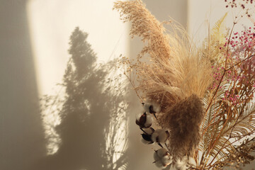 Art Dry Flower, twig, branch, leaf on  white, beige interior wall. Minimalist still life. Light and shadow sunlight window aesthetic natural background.