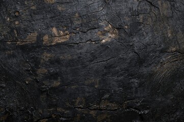 Textured charred wood surface against a dark backdrop