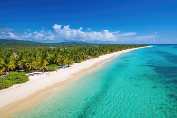 Obraz premium Aerial view of a pristine tropical shoreline adorned with coconut palms and abundant nature.