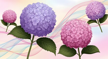 Colorful hydrangeas with abstract wavy background