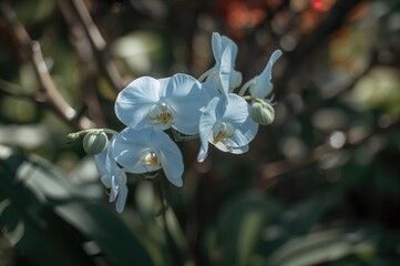 Close-up of a decorative floral branch featuring blue orchids
