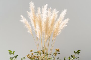 Ornamental grass clump basking in sunlight against a plain backdrop