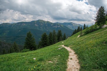 Fototapeta premium Scenic mountain path surrounded by lush trees and rolling hills under a cloudy sky