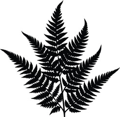 Naklejka premium Wild Fern Silhouette Illustration | Wild Fern Leaf Vector Design