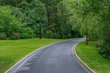 Fototapeta premium Running path through a landscaped garden with lush trees, flowering shrubs, and a well-kept grassy area alongside a dark asphalt trail
