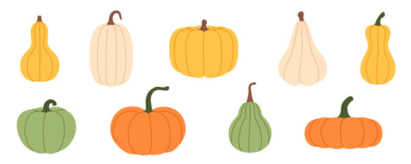 Collection of colorful pumpkins and gourds in flat illustration. Fall Vector Set. For Halloween, Thanksgiving, pattern, banner, packaging, card, autumn, harvest, seasonal, kids design. Hand drawn.