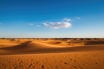 Sandy hills with forested backdrop