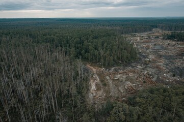 Aerial view showing trees being cut down due to environmental damage and climate impacts
