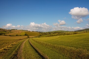 High Dynamic Range Photo of Rural Landscape