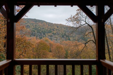 Fototapeta premium View through a rustic wooden pavilion into a vibrant autumn forest with rolling hills.