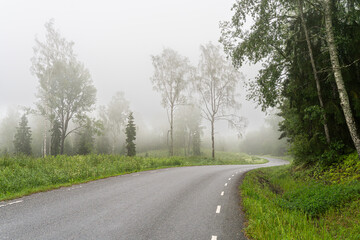 Curved asphalt road through a foggy forest landscape, atmospheric nature and travel concept.