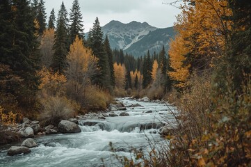Scenic river flowing through a lush and vibrant woodland area during autumn
