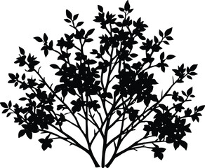 Forsythia Bush Silhouette | Forsythia Plant Vector Design