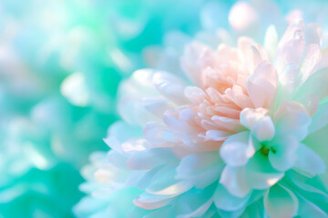 An ethereal abstract radial pattern with a pearl core and a soft gradient