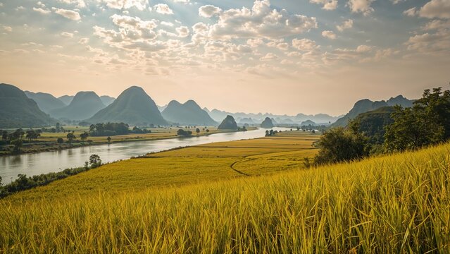 Scenic view of vibrant rice terraces featuring a river from high elevation