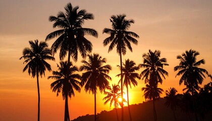 Silhouette palm trees at sunset (1)
