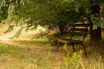 Naklejka premium wooden bench in the park