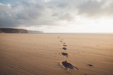 Sandy Shoreline Marked by Footprints at Dawn