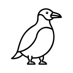 Vector outline drawing of puffin bird illustration, seabird, wildlife, nature, arctic animal icon