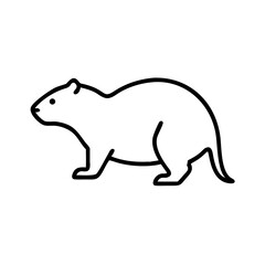 Isolated vector outline drawing of a capybara rodent for logo design and educational use animal
