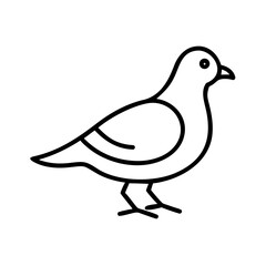 Vector illustration of a simple pigeon outline drawing, bird icon, dove clip art, minimalist design