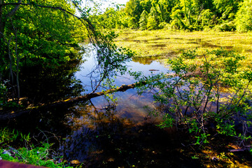 Kolb Ditch, Angel Mounds State Historic Site, Evansville, Indiana