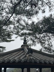 korean temple roof