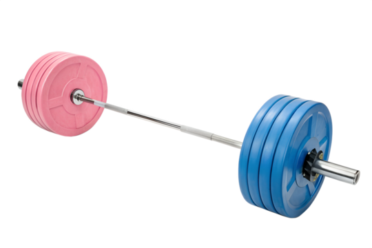 Barbell with pink and blue weight plates isolated on transparent background