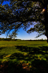 Angel Mounds State Historic Site, Evansville, Indiana