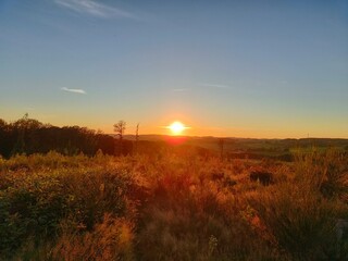 Sunset over rural field with golden grass and orange sky