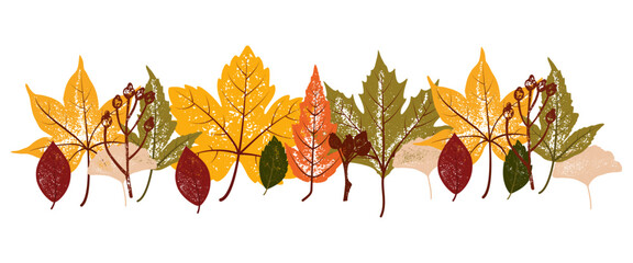 Horizontal white banner or background with beautiful colorful autumn leaves. Fall botanical flat vector illustration on white background for wallpapers, banners, flyers, invitations, posters
