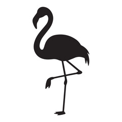 Flamingo Standing on One Leg