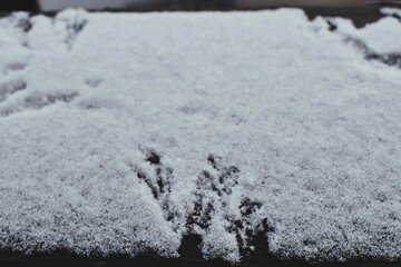Snowy Surface with Delicate Bird Track Patterns