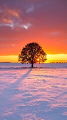 Silhouetted tree at sunset over a snow-covered field