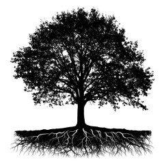 Silhouetted tree with extensive roots