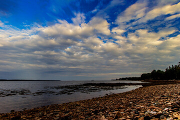 Morning at Gouldsboro Bay, Maine