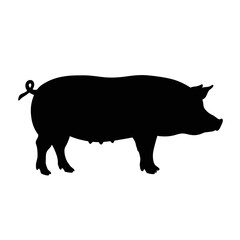 Silhouette of a pig farm animal standing profile view isolated isolated on white background Vector Illustration
