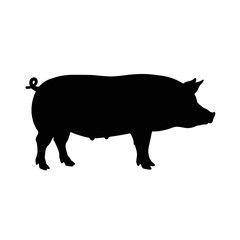 Silhouette of a farm pig standing outdoors ready for agricultural use isolated on white background Vector Illustration