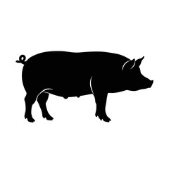 Silhouette of a domestic pig standing profile view farm animal livestock image isolated on white background Vector Illustration