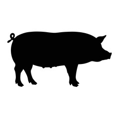 Silhouette of a domestic pig standing profile view a farm animal silhouette for graphic design isolated on white background Vector Illustration