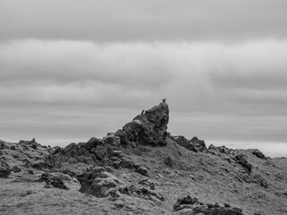mossy lava fields in Island