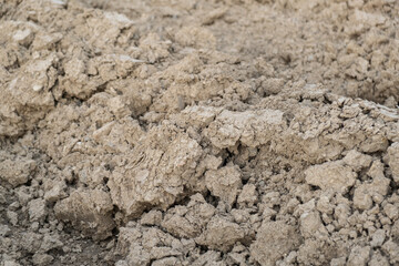 Close-up of rich, dark, freshly tilled soil ready for planting and growth.