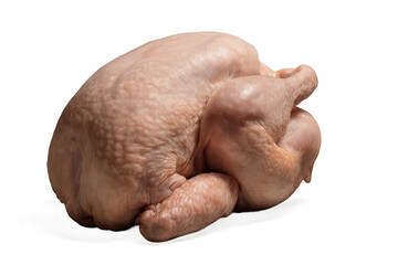 Naklejka premium Raw Whole Turkey Isolated on White Background