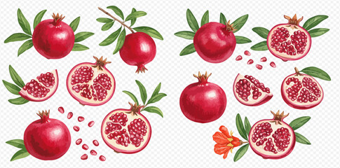 A collection of illustrated red pomegranates, showing whole fruit, halves, slices, seeds, leaves, and flowers.